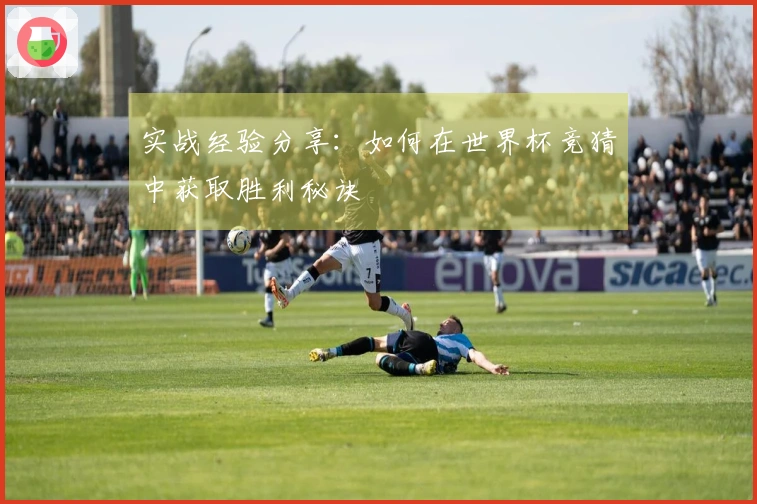 实战经验分享：如何在世界杯竞猜中获取胜利秘诀