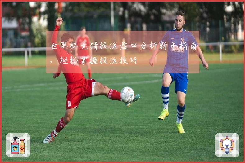 世界杯竞猜投注盘口分析新手指南，轻松掌握投注技巧