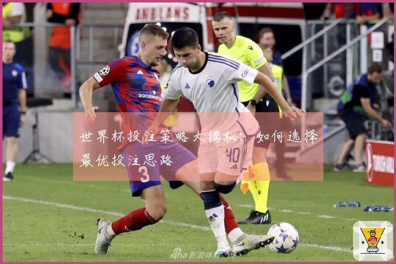 世界杯投注策略大揭秘：如何选择最优投注思路
